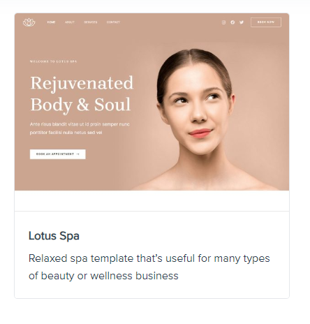 spa website design